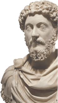 Latin individual tutoring